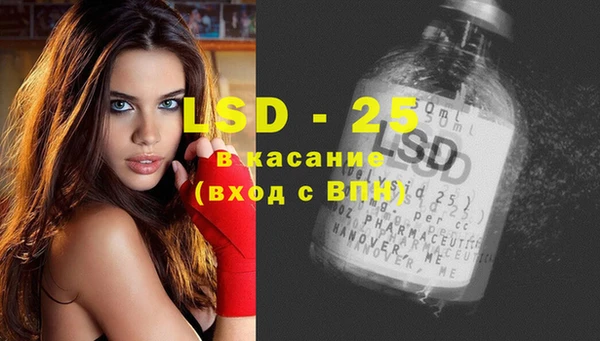 спайс Аркадак