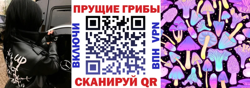 Галлюциногенные грибы ЛСД  Купить где  Семикаракорск 